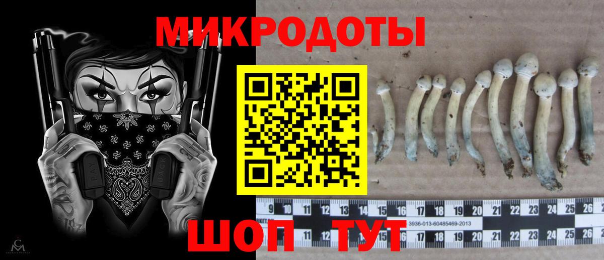 Ачхой-Мартан  Галлюциногенные грибы мицелий  Вход с VPN  Галлюциногенные грибы Magic Shrooms 